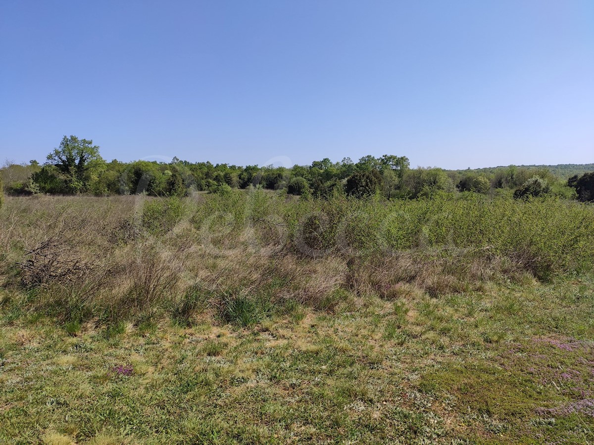 Kmetijsko zemljišče 3 km od morja in 700 m od centra