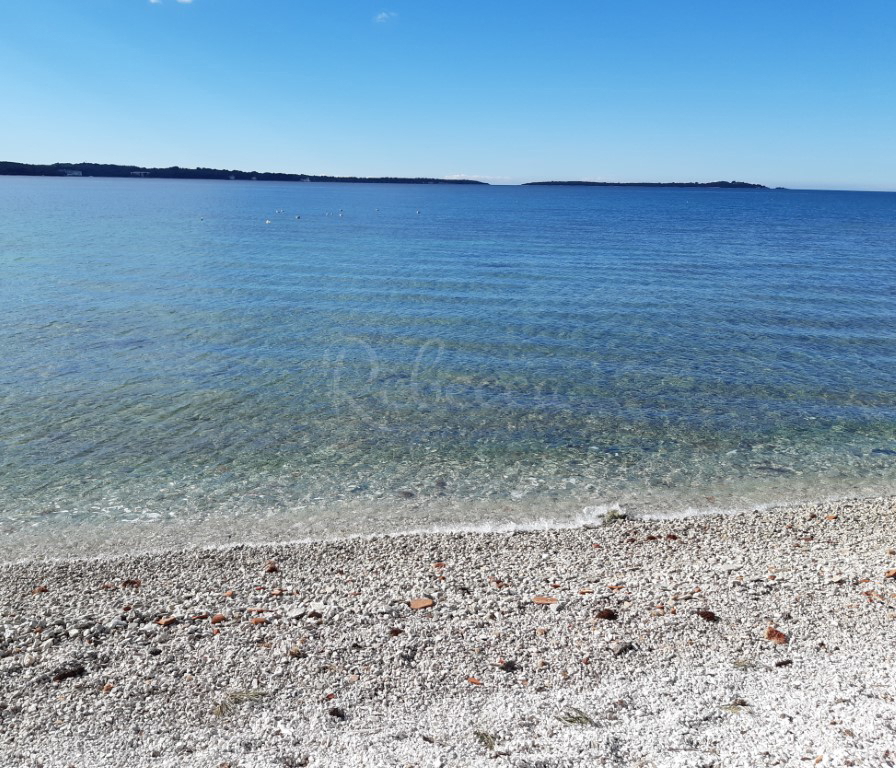 Luksuzna vila, bazen, atraktivna lokacija, 50 m od morja, Fažana, NOVO