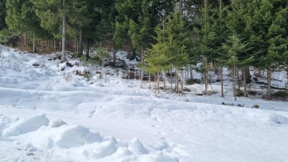 Gorski Kotar, Črni Lazi - zazidljivo zemljišče, 999 m2