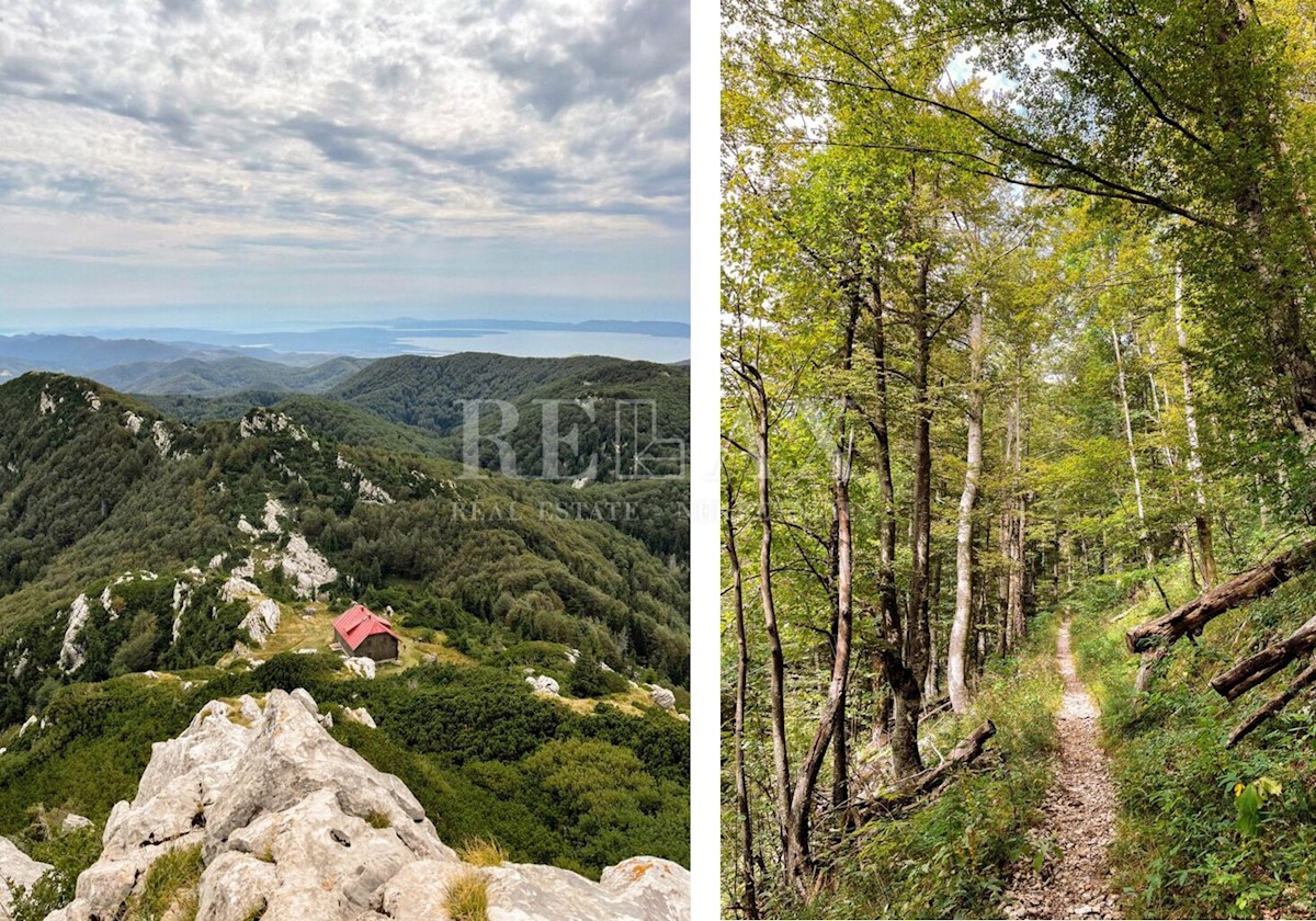 Gozd ob vznožju Risnjaka in Platka - 30.000 m2