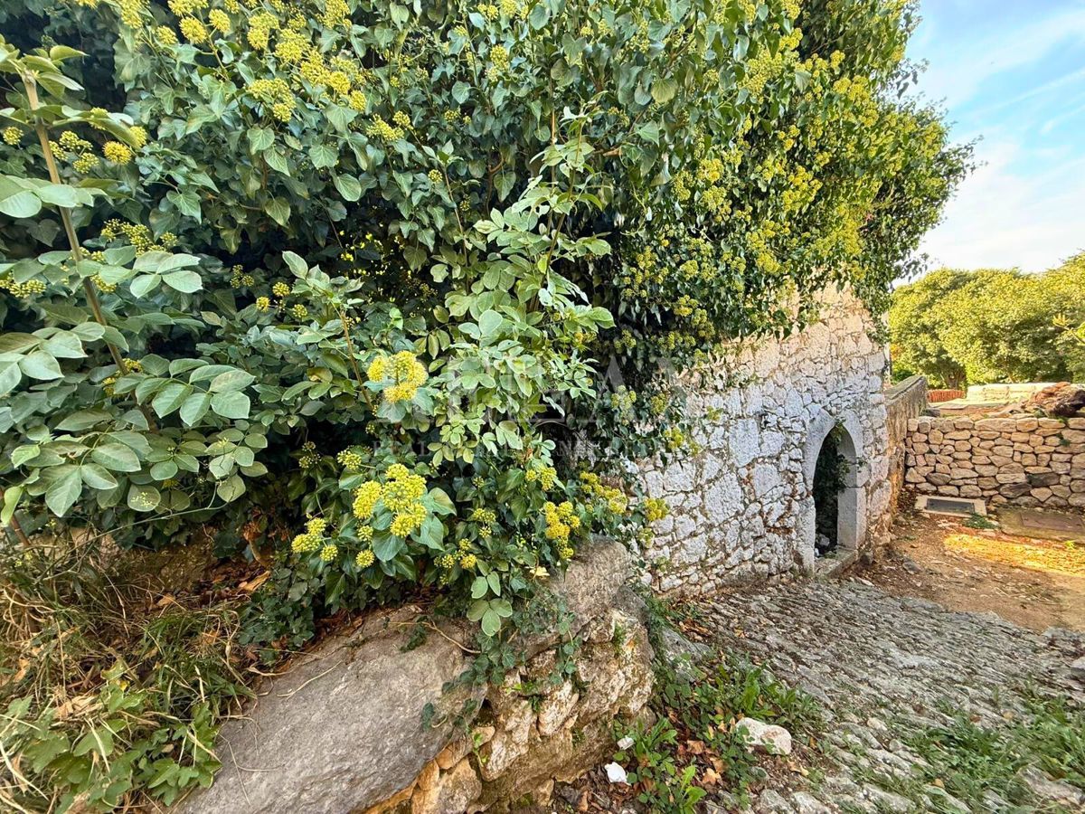 Bribir - Mirišće blizu centra