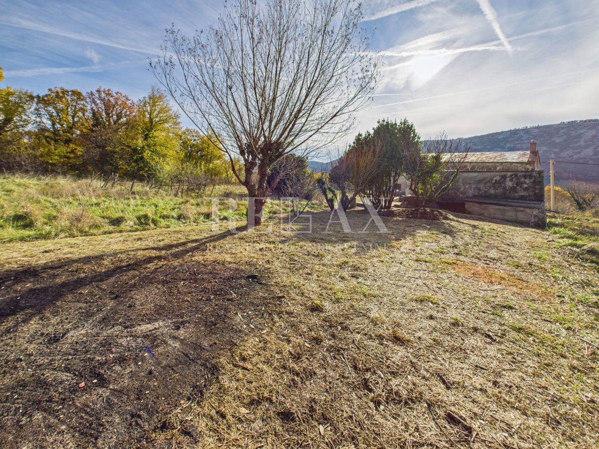 Bribir - avtentična hiša z vrtom