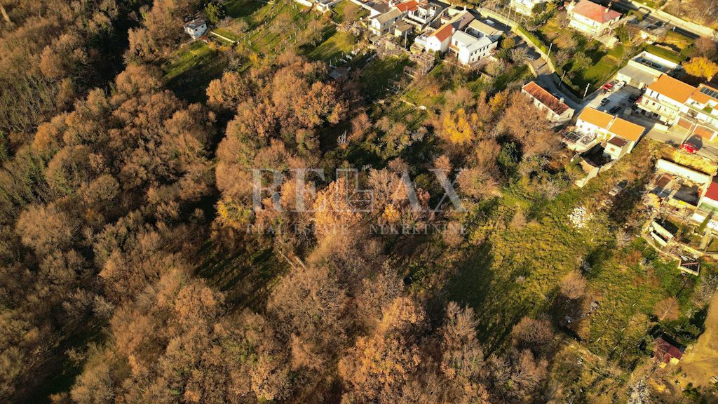 Bribir - starina s potencialom