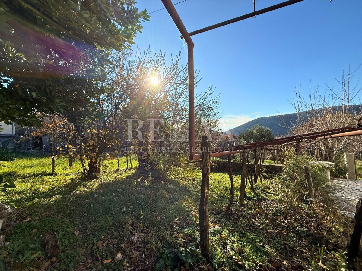 Bribir - starina s potencialom