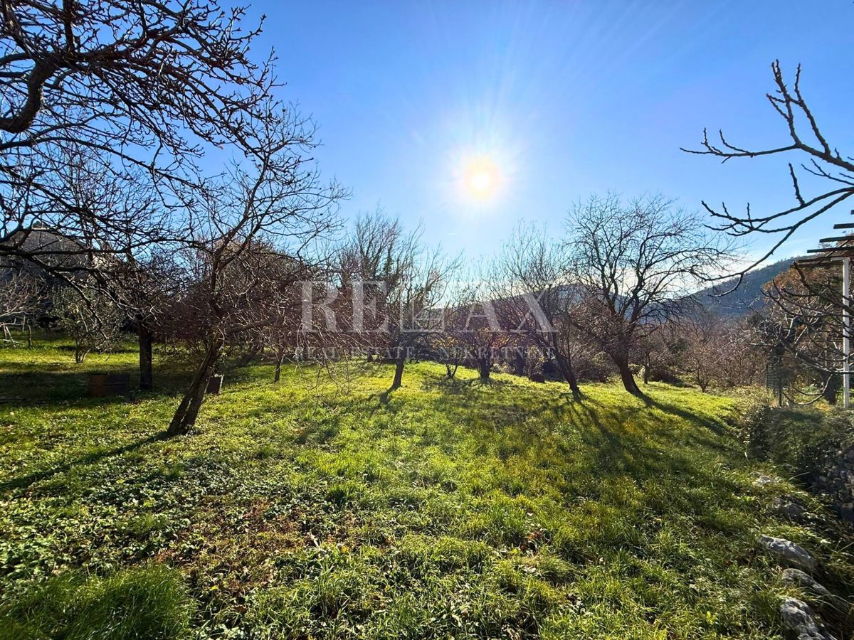 Bribir - starina s potencialom