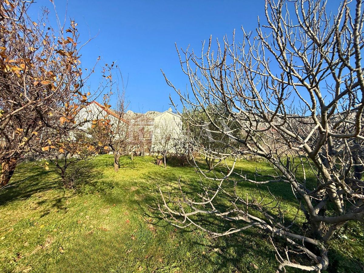 Bribir - starina s potencialom