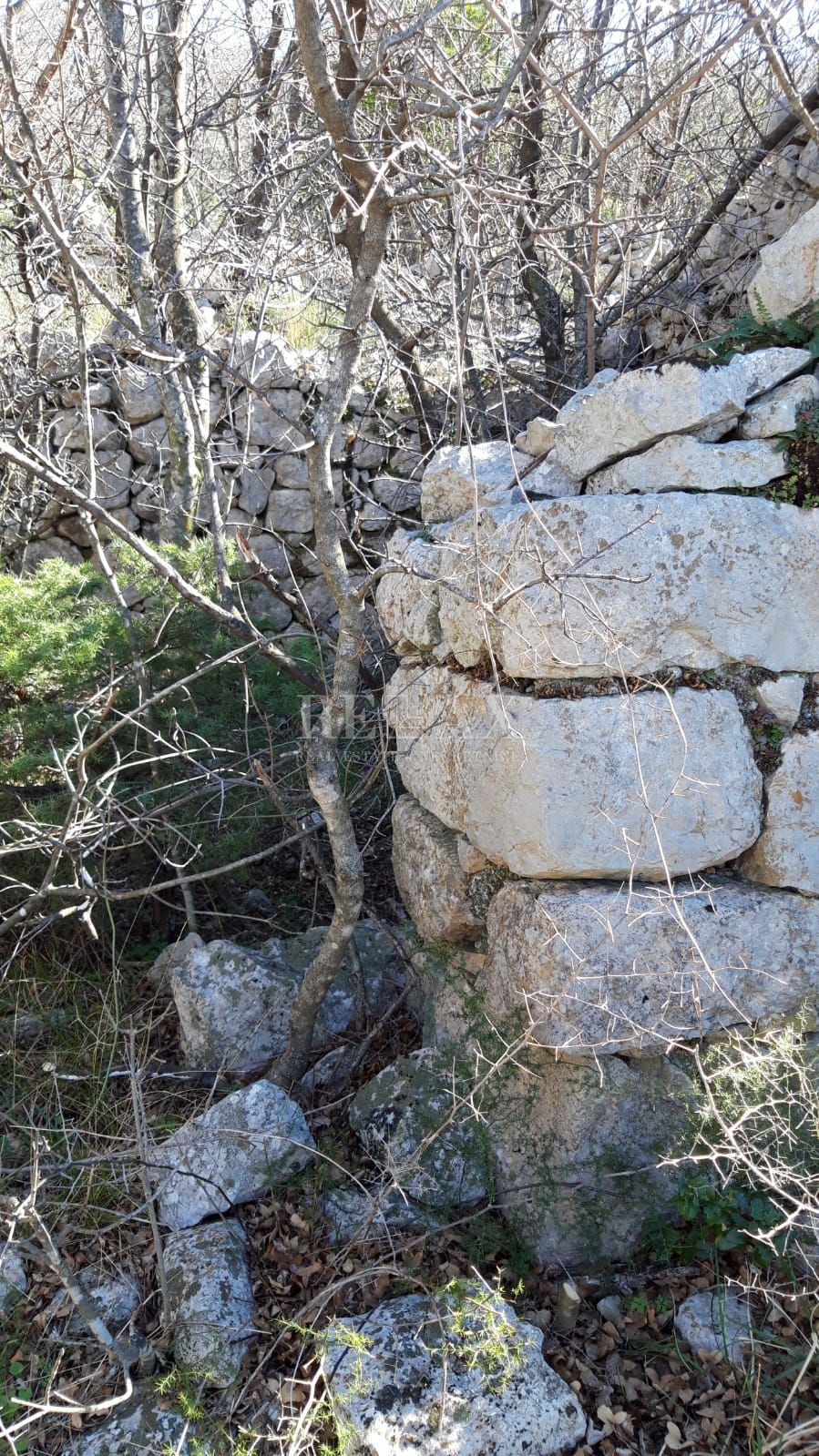 SENJ, KLADA - Več terena 25308 m2
