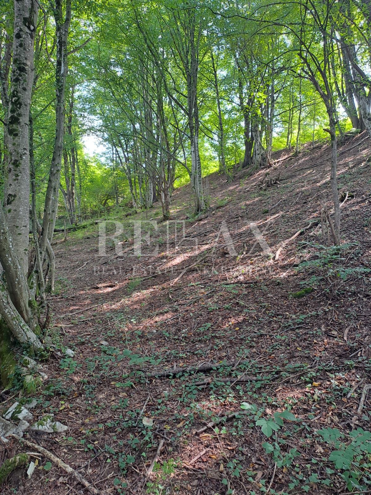 Plitvička Jezera - prvovrstno zazidljivo zemljišče v coni T1, T2, T3
