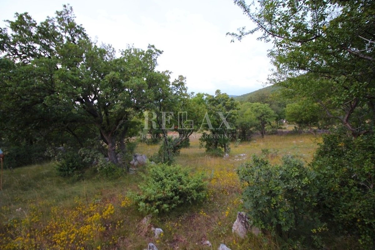 KLENOVICA, POLJICE - Kmetijsko zemljišče 6643 m2 z dvema ruševinama