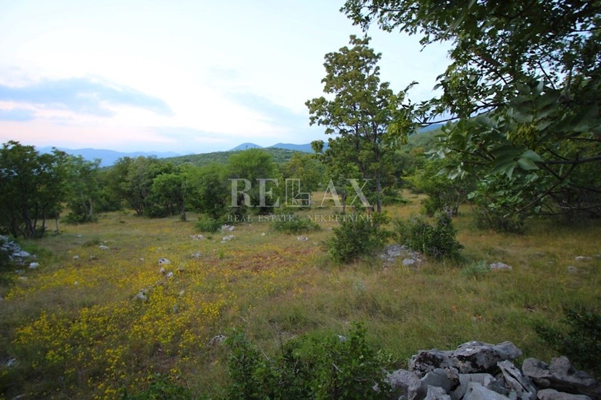 KLENOVICA, POLJICE - Kmetijsko zemljišče 6643 m2 z dvema ruševinama