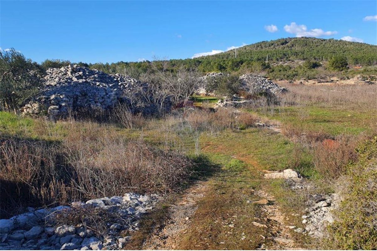 EKSKLUZIVNO, kmetijsko zemljišče, Vrboska, otok Hvar