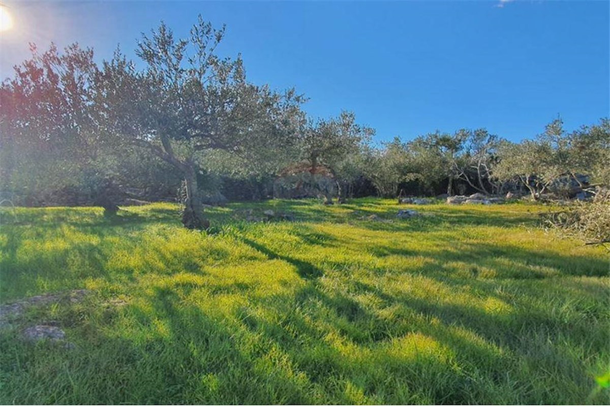 EKSKLUZIVNO, kmetijsko zemljišče, Vrboska, otok Hvar