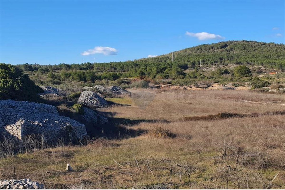 EKSKLUZIVNO, kmetijsko zemljišče, Vrboska, otok Hvar