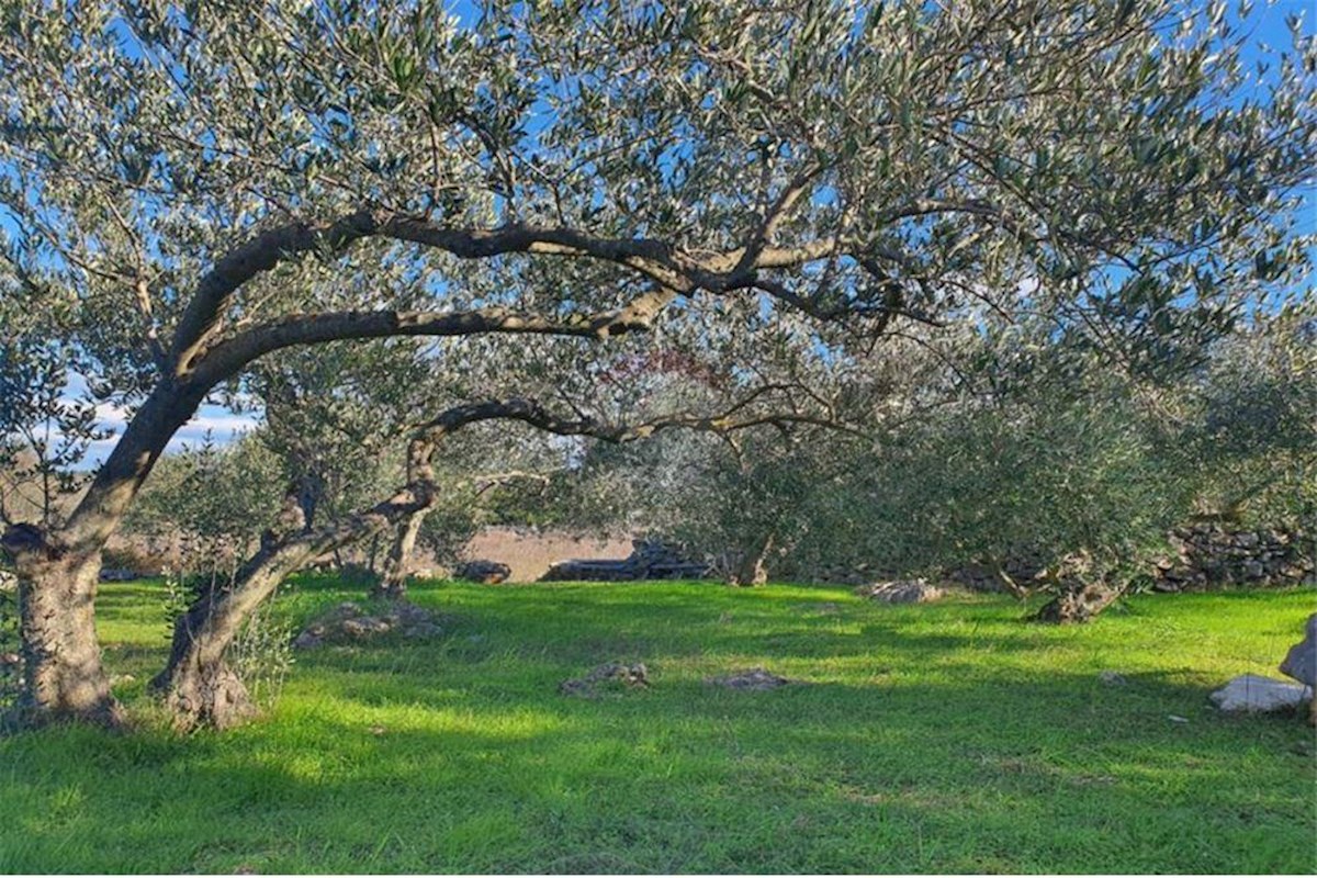 EKSKLUZIVNO, kmetijsko zemljišče, Vrboska, otok Hvar