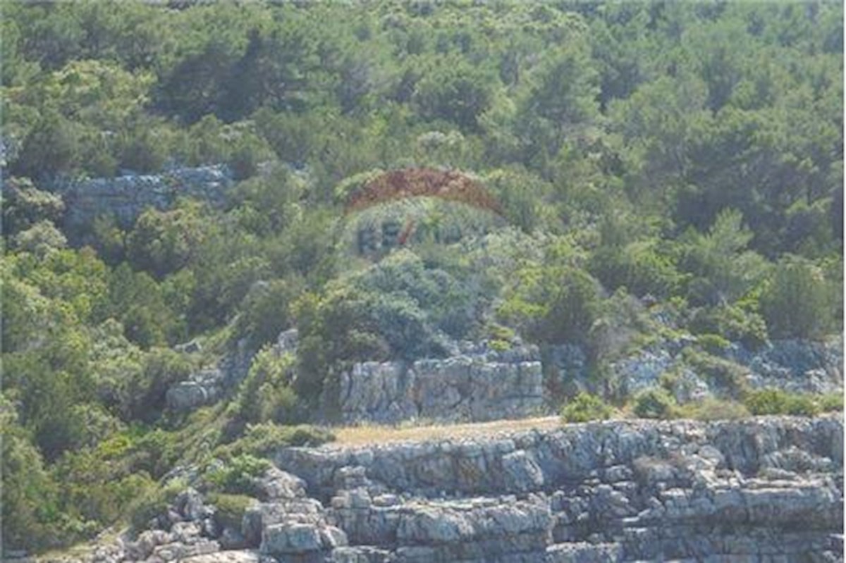 OTOK HVAR, SEVERNA STRAN, KMETIJSKO ZEMLJIŠČE OB MORJU