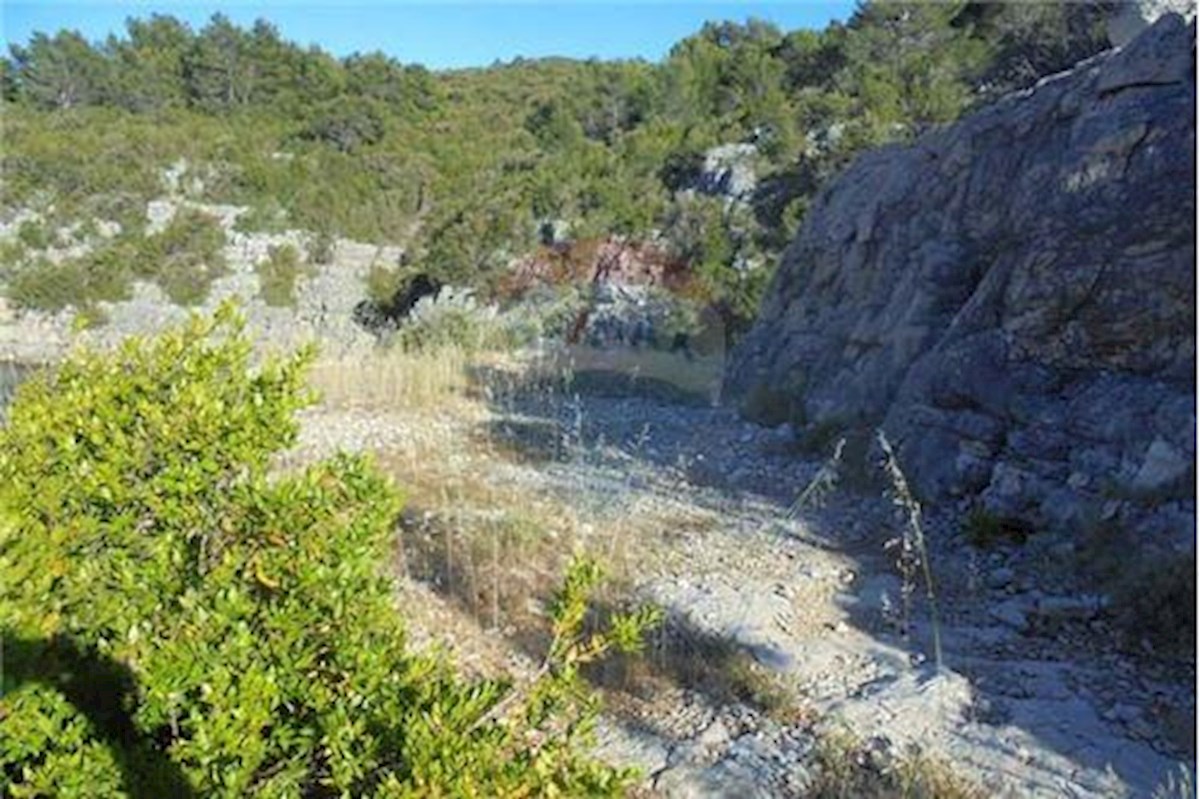 OTOK HVAR, SEVERNA STRAN, KMETIJSKO ZEMLJIŠČE OB MORJU