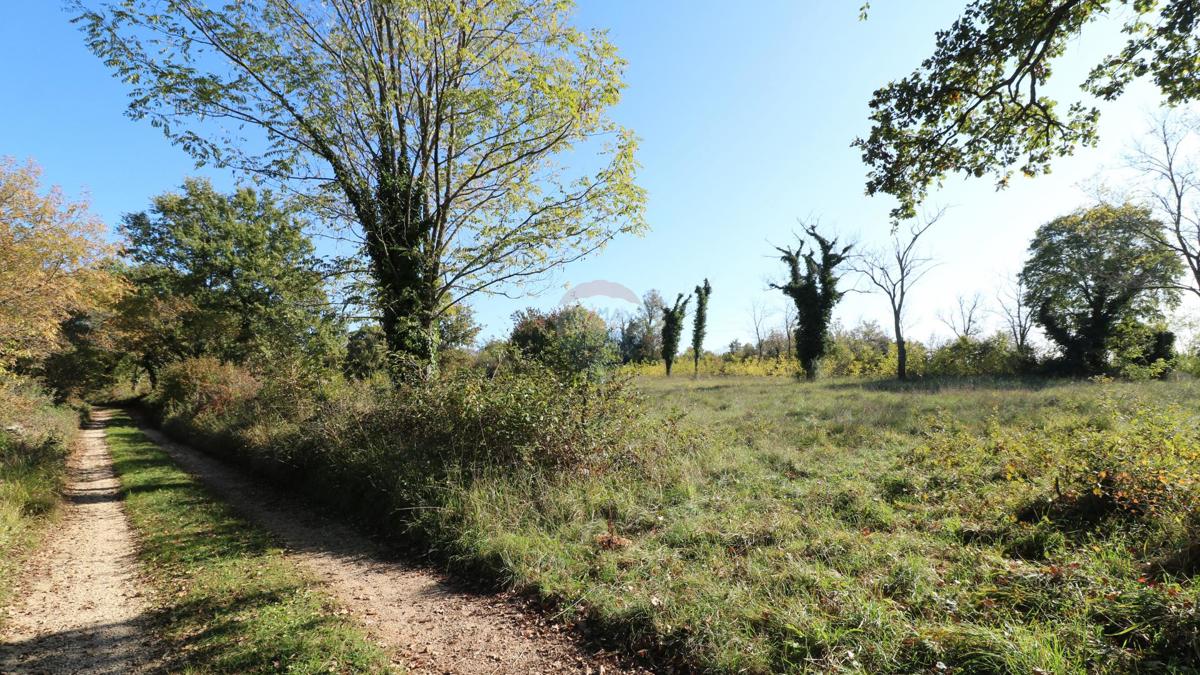 Stavbno zemljišče Baderna, Poreč, 120.005m2