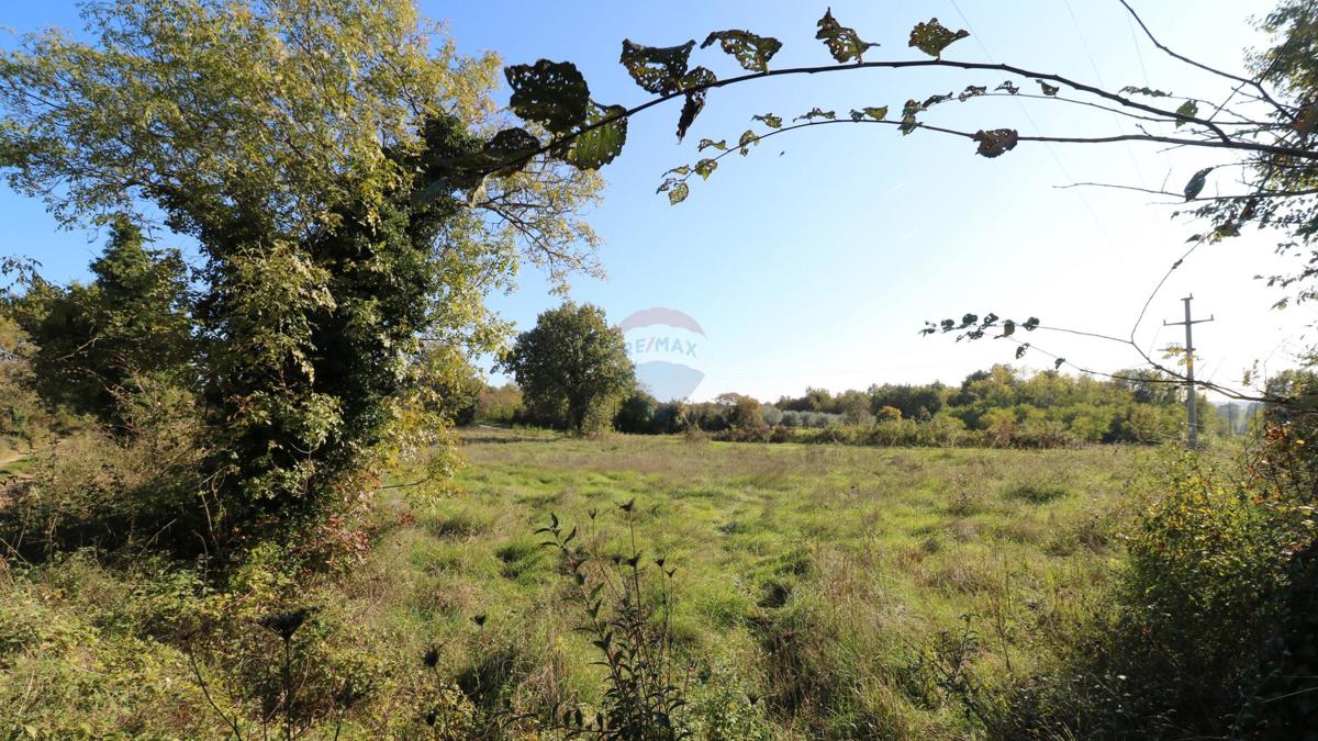 Stavbno zemljišče Baderna, Poreč, 120.005m2