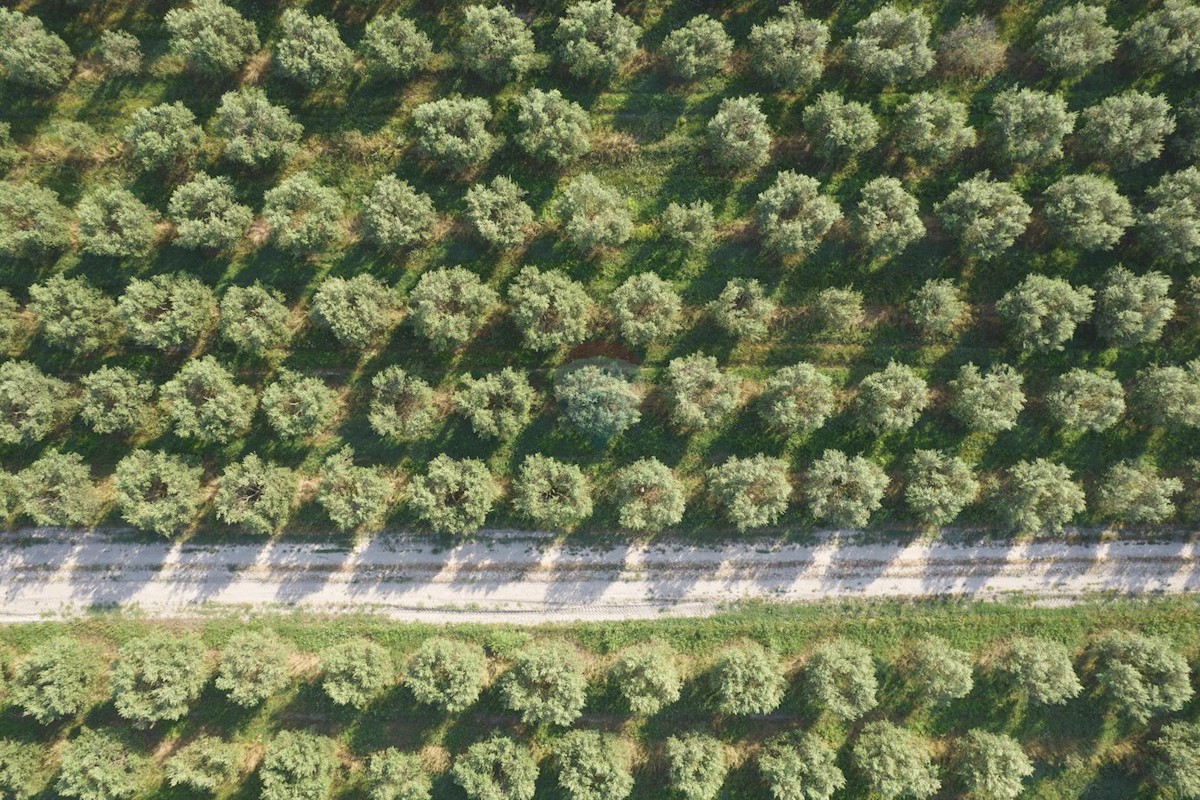 Stavbno zemljišče okolica Pule, Pula, 500m2