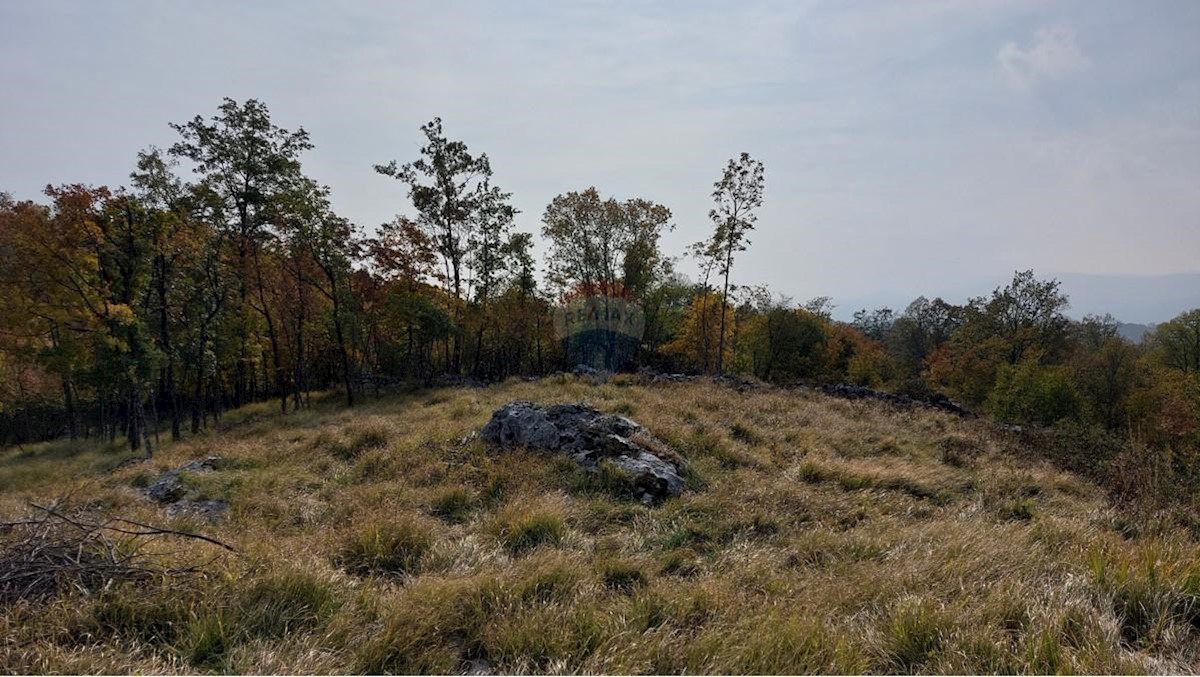 Stavbno zemljišče Breza, Klana, 734m2