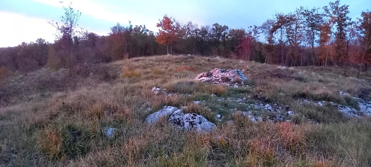 Stavbno zemljišče Breza, Klana, 734m2