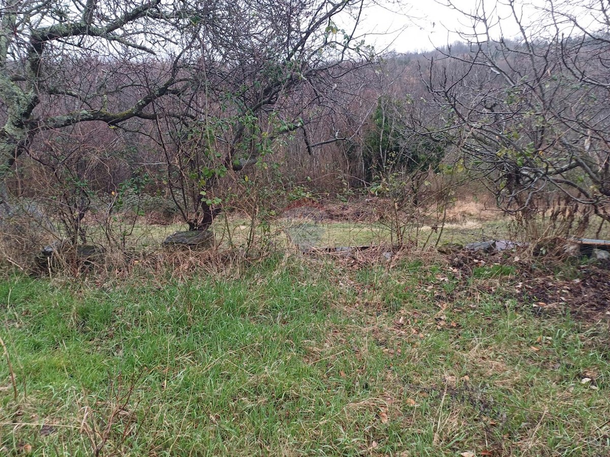 Hiša Kućibreg, Buje, 120m2