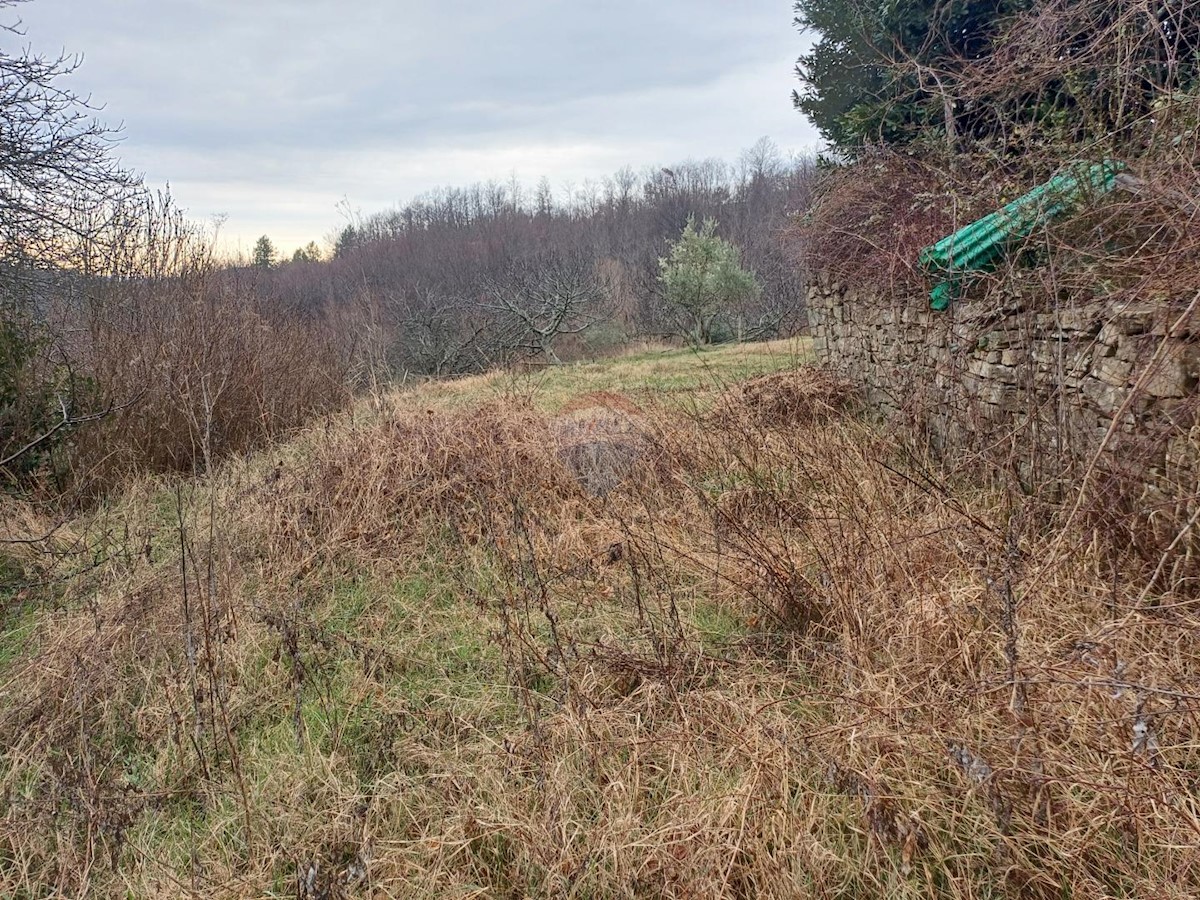 Hiša Kućibreg, Buje, 120m2