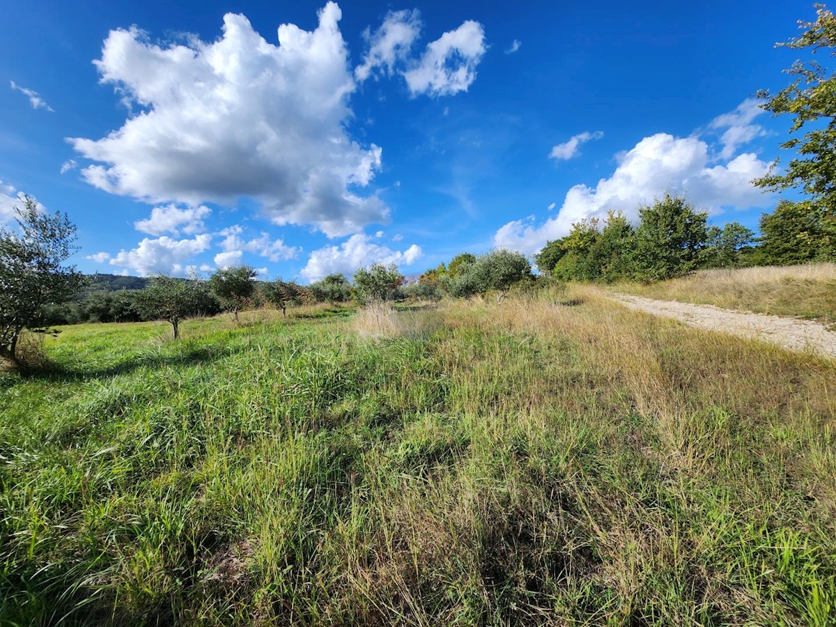 Stavbno zemljišče Račice, Buzet, 10.898m2