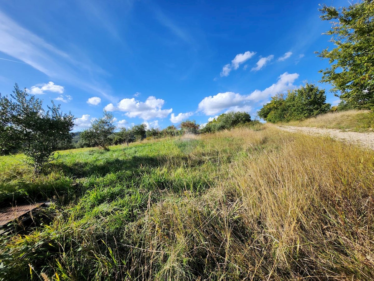 Stavbno zemljišče Račice, Buzet, 10.898m2