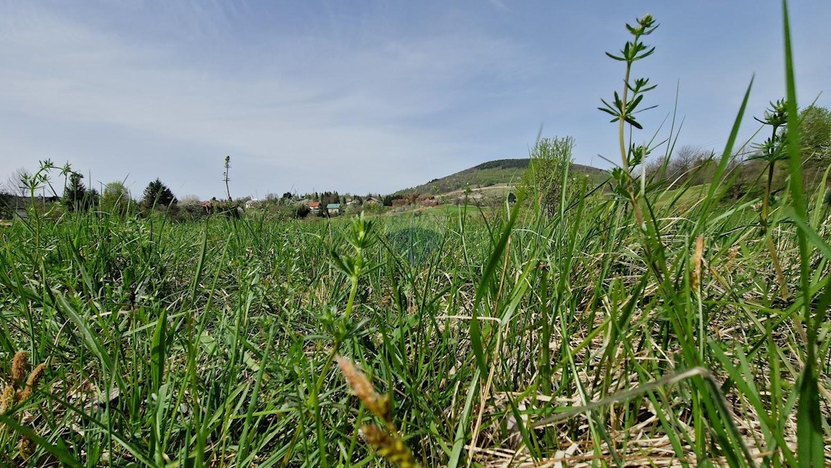 Stavbno zemljišče Vrbovsko, 1.300m2