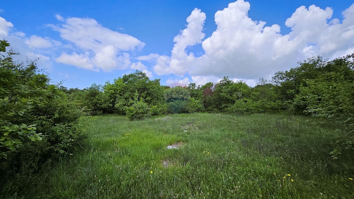 Stavbno zemljišče Kaštel, Buje, 2.119m2