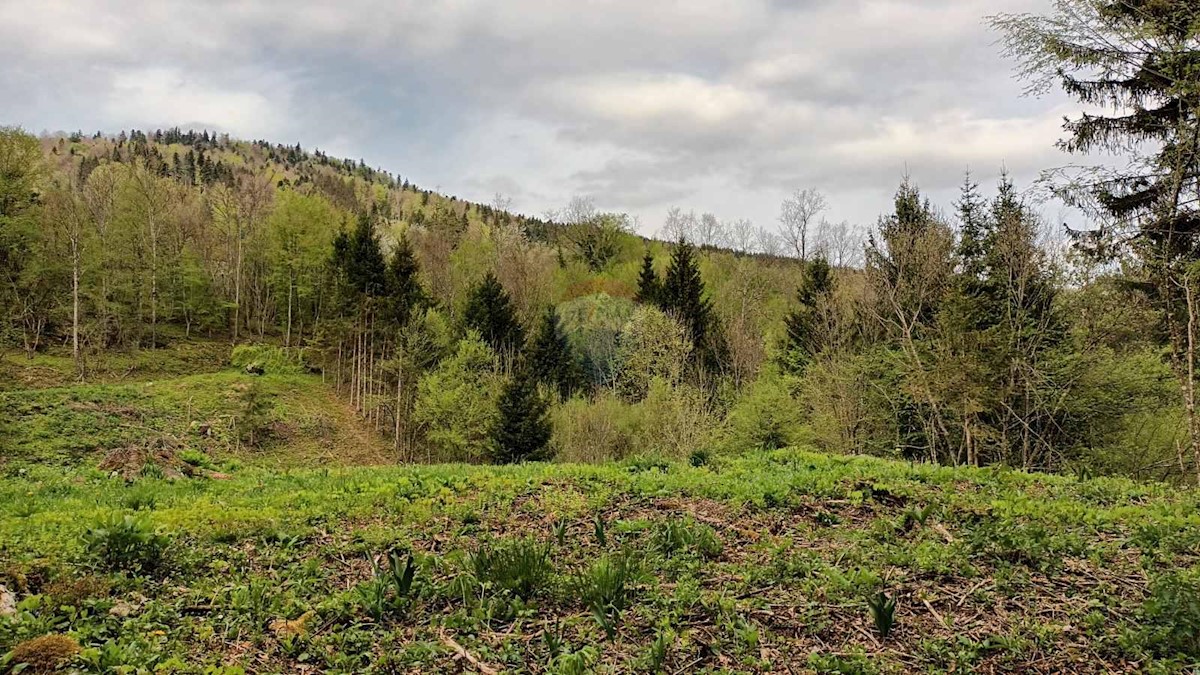 Stavbno zemljišče Vujnovići, Vrbovsko, 2.493m2