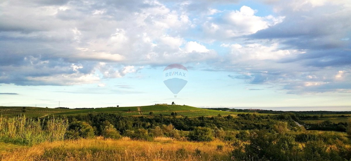 Stavbno zemljišče Buje, 1.200m2