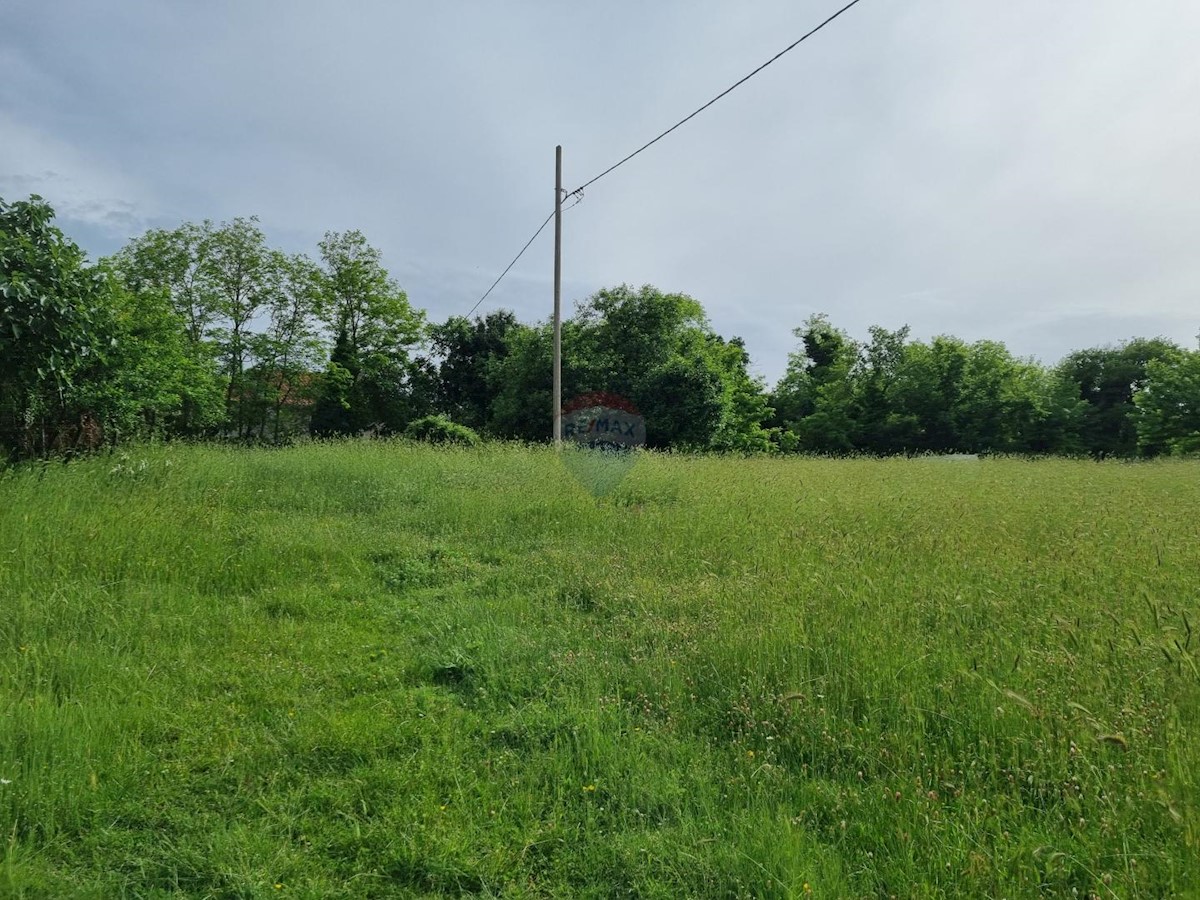 Stavbno zemljišče Žminj, 1.000m2