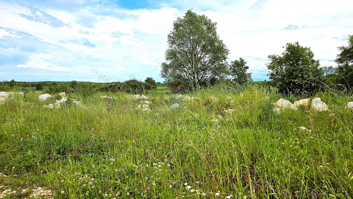 Stavbno zemljišče Umag, 506m2