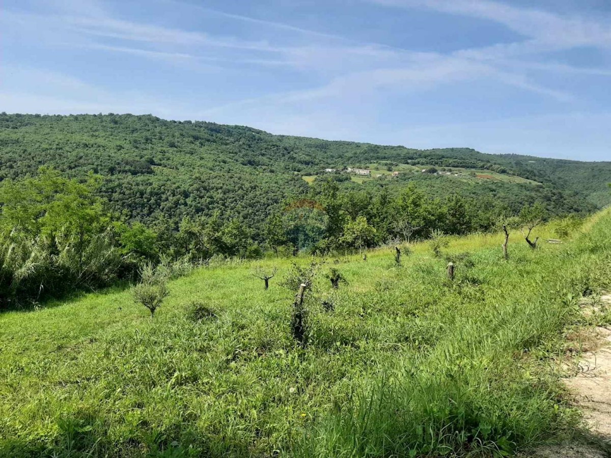 Stavbno zemljišče Motovun, 2.157m2