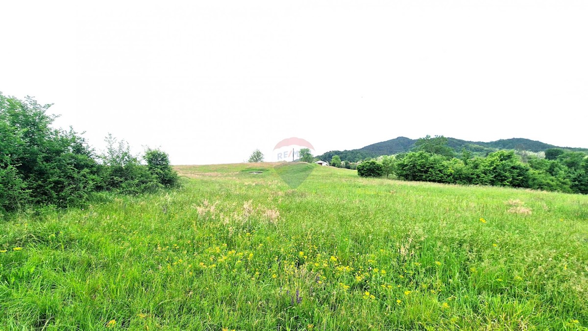 Stavbno zemljišče Centar, Pazin, 7.500m2