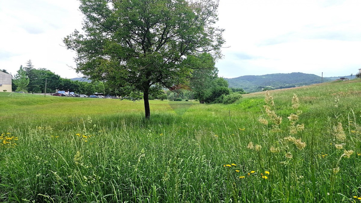 Stavbno zemljišče Centar, Pazin, 7.500m2