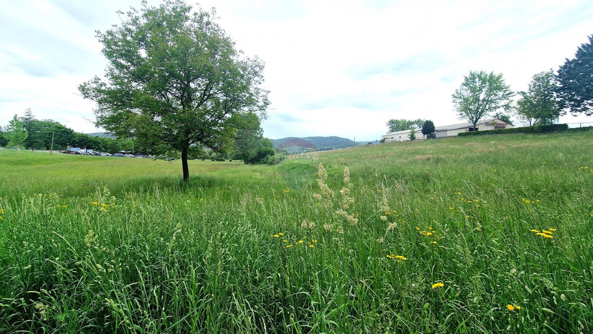 Stavbno zemljišče Centar, Pazin, 7.500m2