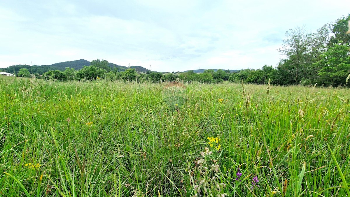 Stavbno zemljišče Centar, Pazin, 7.500m2