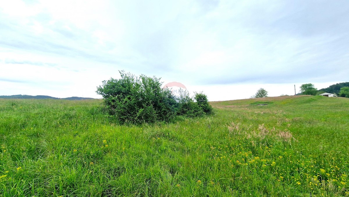 Stavbno zemljišče Centar, Pazin, 7.500m2