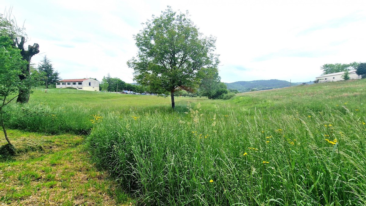 Stavbno zemljišče Centar, Pazin, 7.500m2