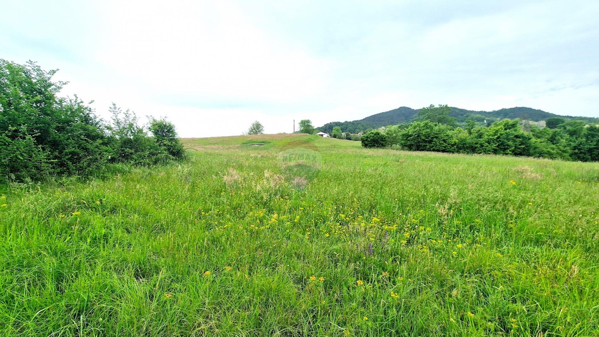 Stavbno zemljišče Centar, Pazin, 7.500m2