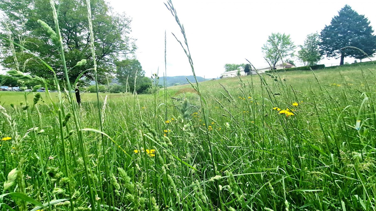 Stavbno zemljišče Centar, Pazin, 7.500m2