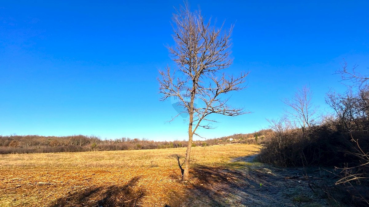 Stavbno zemljišče Materada, Umag, 10.277m2