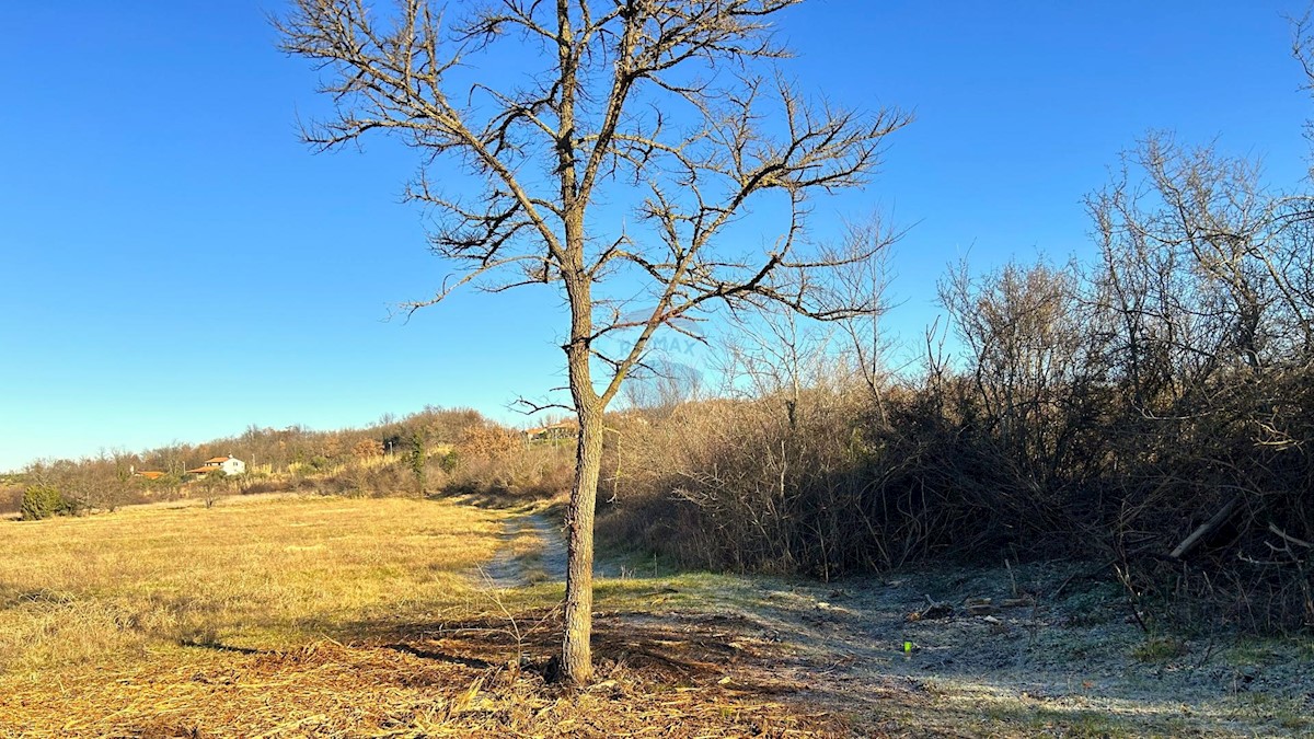 Stavbno zemljišče Materada, Umag, 10.277m2