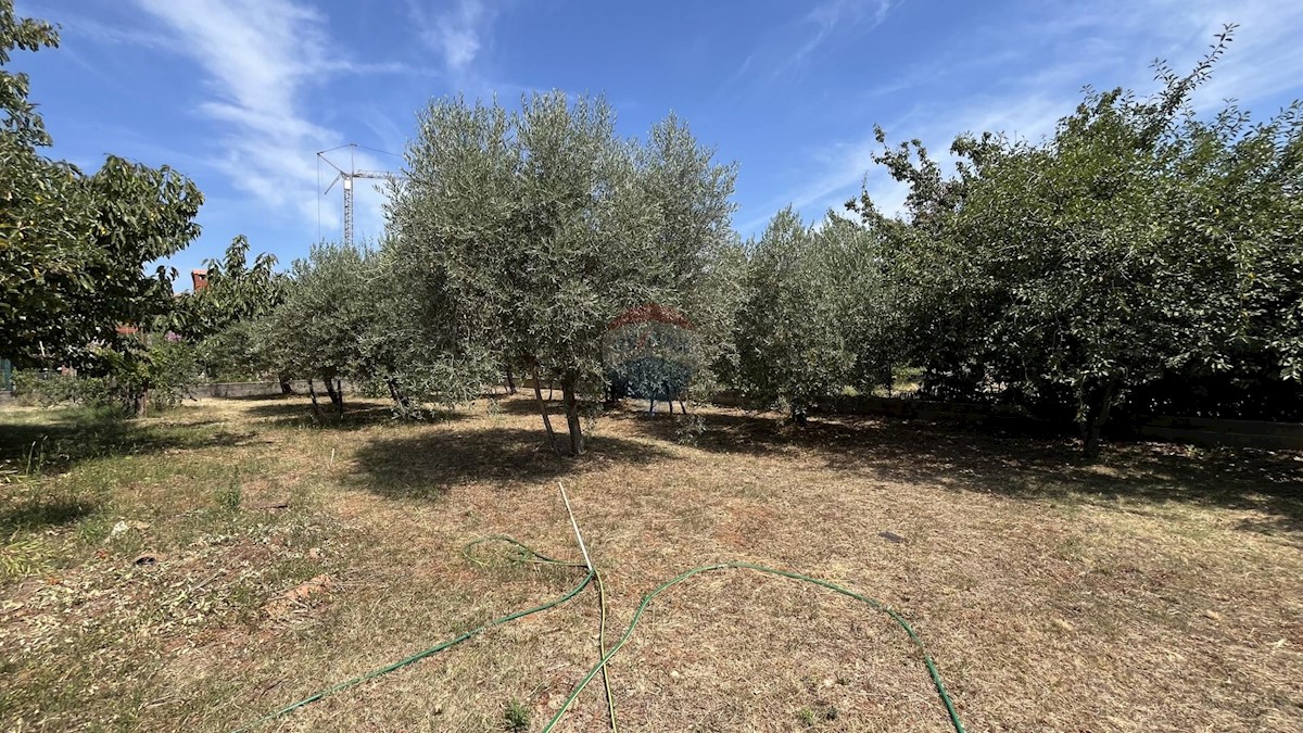 Hiša Višnjan, 156m2