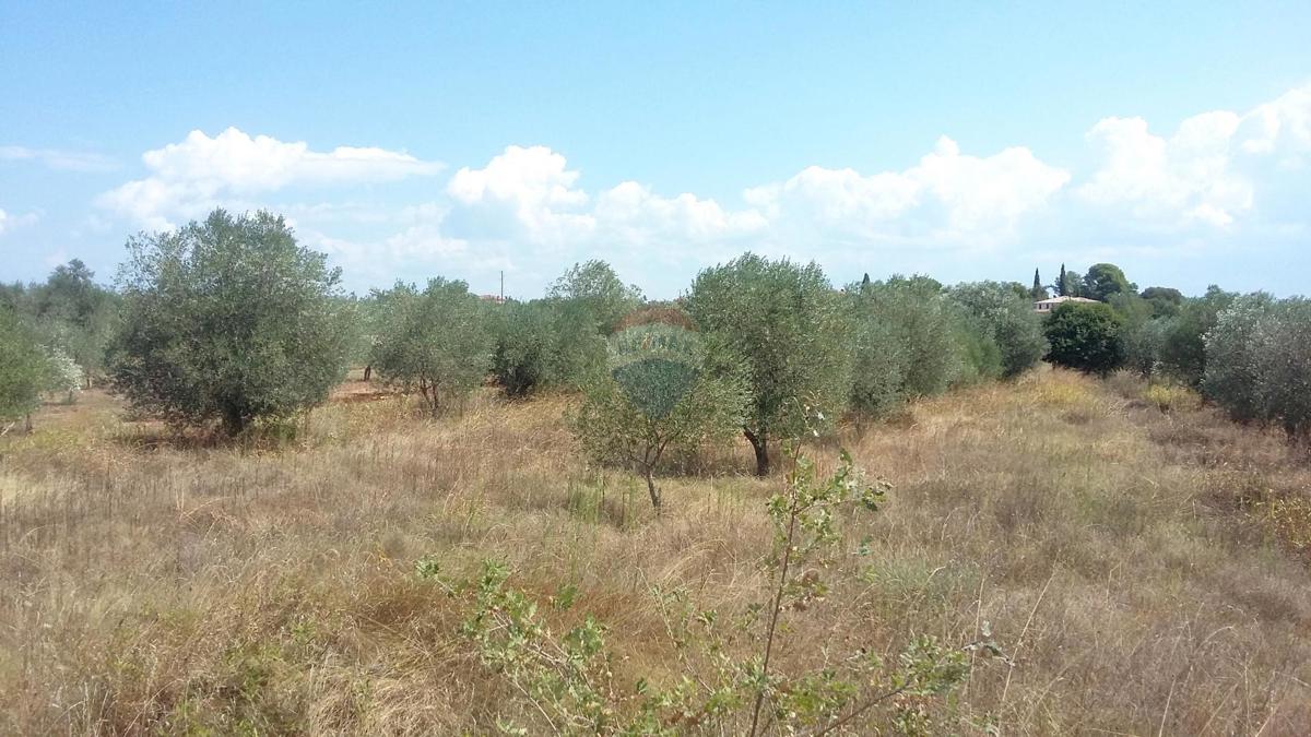 Stavbno zemljišče Umag, 2.534m2