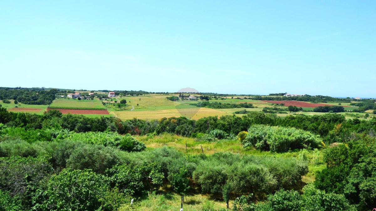 Stavbno zemljišče Crveni Vrh, Umag, 629m2