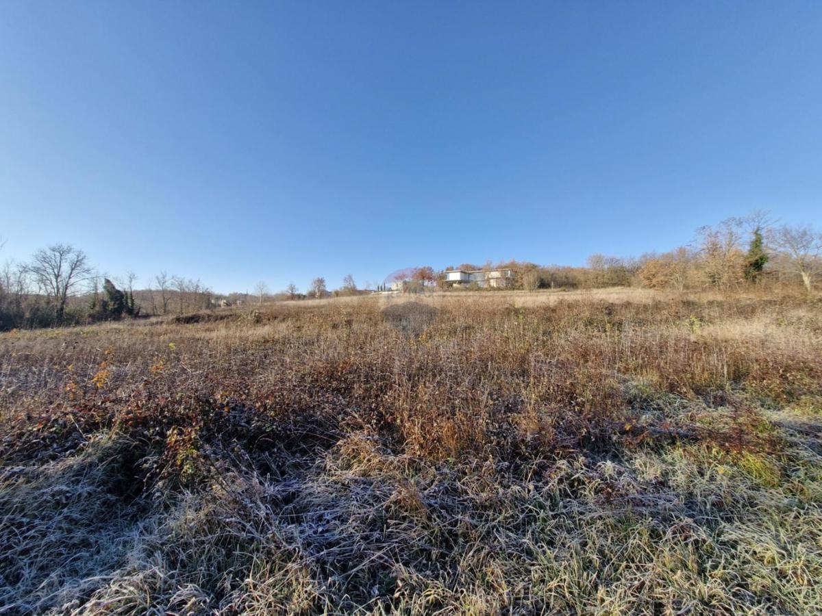 Stavbno zemljišče Trviž, Pazin - Okolica, 5.600m2